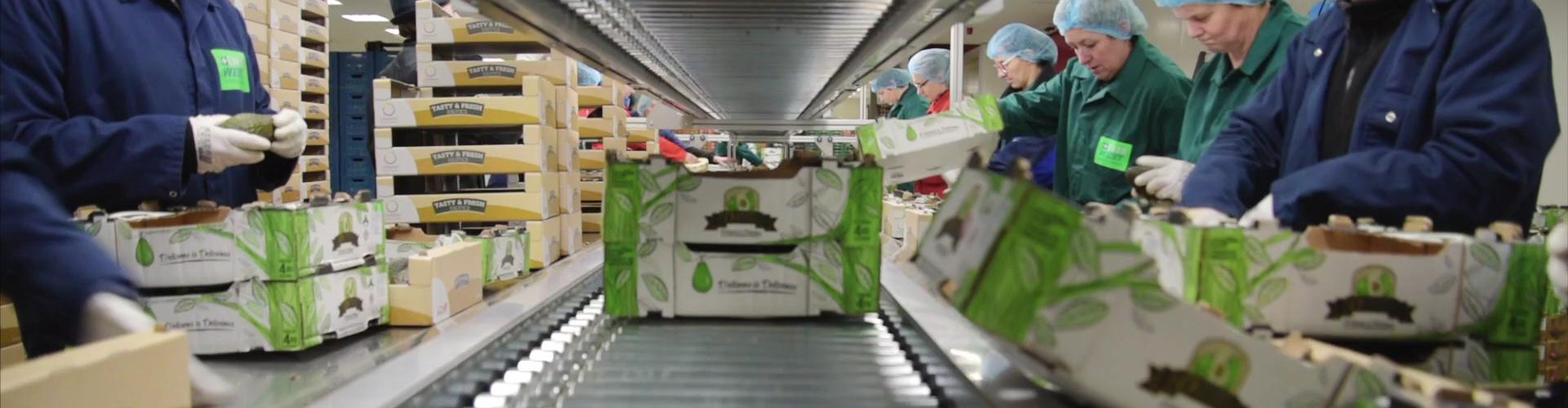 Medewerkers verpakken groente en fruit